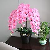 ���i�̏ڍ�