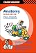 Anatomy (Crash Course)