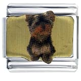Yorkie Animal Photo Italian Charms Bracelet Link