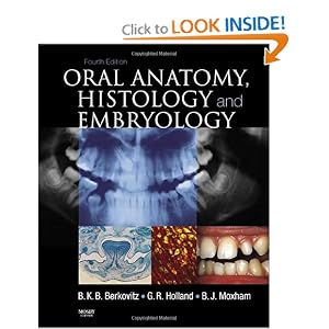 Click here to buy Oral Anatomy, Histology and Embryology by Barry K B Berkovitz BDS MSc PhD FDS (ENG), G. R. Holland BSc BDS PhD CERT ENDO, and Bernard J Moxham BSc BDS PhD.