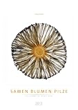 Produkt-Bild: Samen, Blumen, Pilze 2013: Dia-Gramme