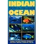Indian Ocean: Tropical Fish Guide