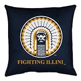 Illinois Fighting Illini ( University Of ) NCAA 17x17 Inches Locker Room Toss Pillow