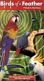 Birds of a Feather