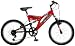 Pacific Gray's Peak Boy's 20-Inch Dual-Suspension Mountain Bike