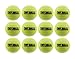 12 Tuff Balls - Industrial Strength Dog Toys, Standard Size 2.5