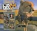 Search : Stars of Big Cat Diaries