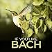 Amazon MP3: Preludes to Six Hymns: IV. Komm, Heiliger Geist, Herre Gott bei MP3-Downloads zum Namen: 51BARDHOE9L._SL75_