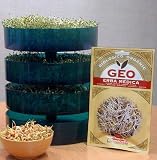 Kitchen & Housewares : GEO Sprouter