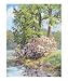 Spring Festival Scenic Giclee Poster Print by L Diane Johnson, 8x10