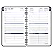 AT-A-GLANCE Weekly/Monthly Pocket Planner/Appointment Book, Collegiate, Academic Year, July 2015-July 2016, 3.75 x 6 Inch Page Size (70-CP03-05)