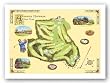 Golf Course Map - Augusta by Bernard Willington 28"x22" Art Print Poster