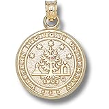 Western Michigan University Seal Pendant (14kt)