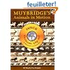 Muybridge's Animals in Motion