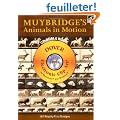 Muybridge's Animals in Motion