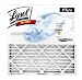 Lysol Plus Pleated Microparticle Filter (88754012020) 6 each