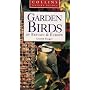 Garden Birds of Britain and Europe (Collins Nature Guide)