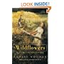 Wildflowers: The First Story in the Orphan Train Trilogy