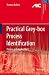 Practical Grey box Process