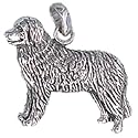 Bernese Mountain Dog Hand Made USA Sterling Silver Charm