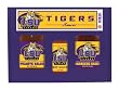 Louisiana State University Tigers Tailgate Party Pack