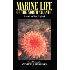 Marine Life of the North Atlantic : Canada to New England 2n Ed.
