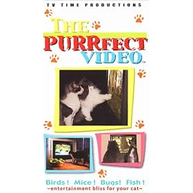 CAT Entertainment