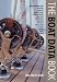 The Boat Data Book