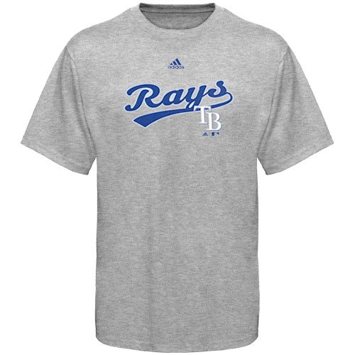 adidas Tampa Bay Rays Ash Youth Script T-shirt (Small)