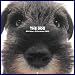 Artlist Collection the Dog 2005 Calendar Miniature Schnauzer (Multilingual Edition)