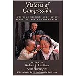 Visions of Compassion: Western Scientists and Tibetan Buddhists Examine Human Nature book cover