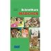 DuMont Schnellkurs M�rchen