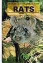 Rats (Small Animals)