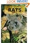 Rats (Small Animals)