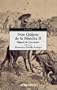Don Quijote de la Mancha (II) (Spanish Edition)