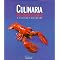 Cookbook Top Ten: Most Delicious & Practical