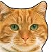 Animal-Shaped Board Books: Cats & Kittens