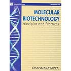 Molecular Biotechnology: Principles and Practices by  Channarayappa