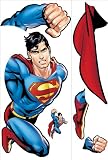  : Superman Day Of Doom Giant Applique - 19X6"