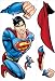 Search : Superman Day Of Doom Giant Applique - 19X6"