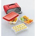 Insulated Carrier