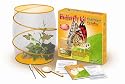 Fascinations World Alive Butterfly Insect Kit