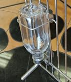 Water Bottle W/nozzle Glass-pup 12 1 Quart Bottle