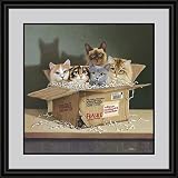 Six Pack by Braldt Bralds - Framed Artwork