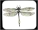 Decorated Mouse Pad with insect, specimen, dragonfly, yellow, wings
