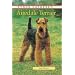 Airedale Terrier