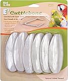 Penn Plax Cuttlebone Natural 6 Pack