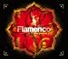 Chill Sessions: Flamenco New Grooves