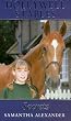 Secrets (Hollywell Stables)
