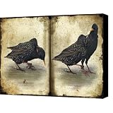 Oh No You DIDN'T Canvas Print / Canvas Art - Artist Lois Bryan